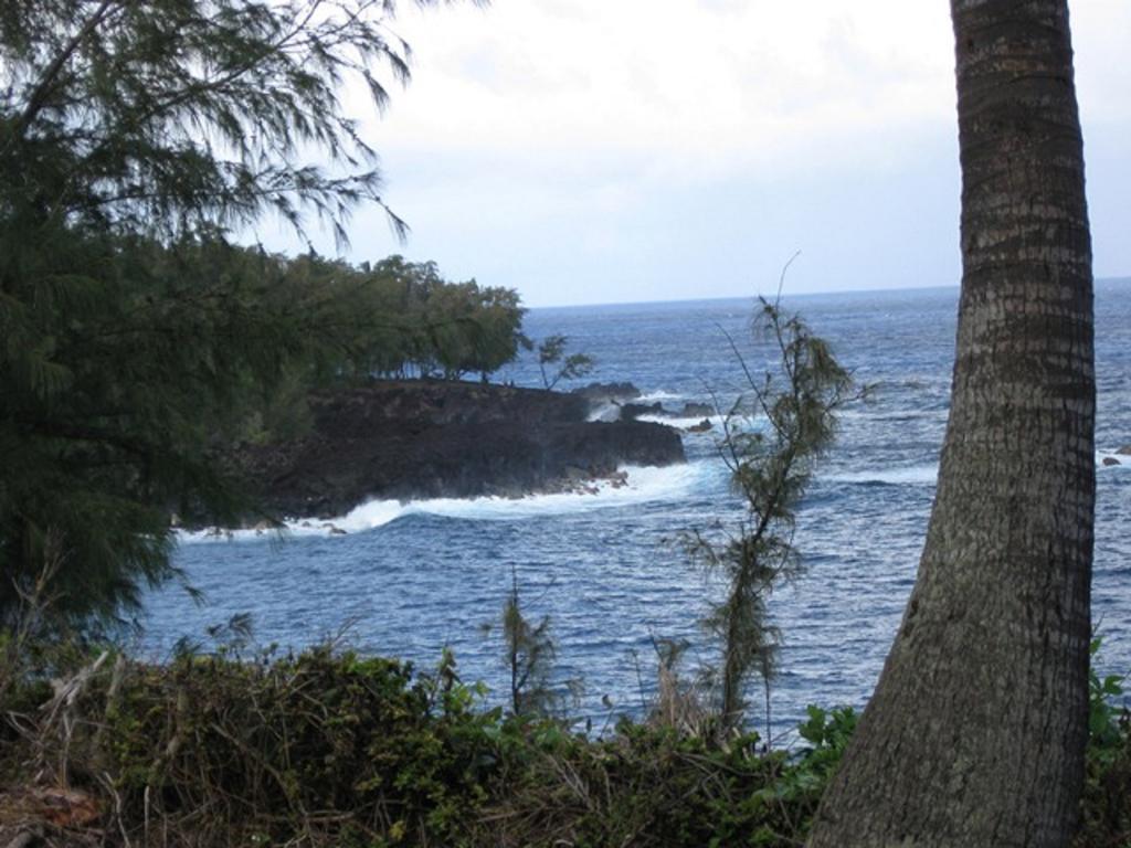Coconut Palms Vacation Rental Near Lava Fields And Beaches Kehena Extérieur photo