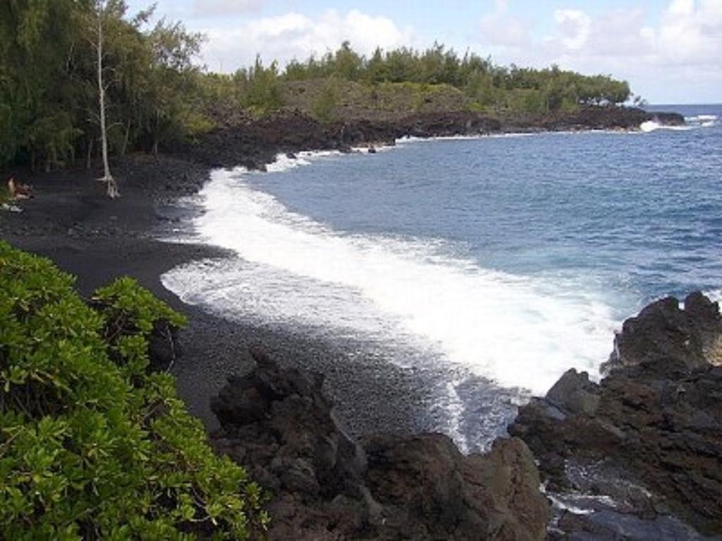 Coconut Palms Vacation Rental Near Lava Fields And Beaches Kehena Extérieur photo