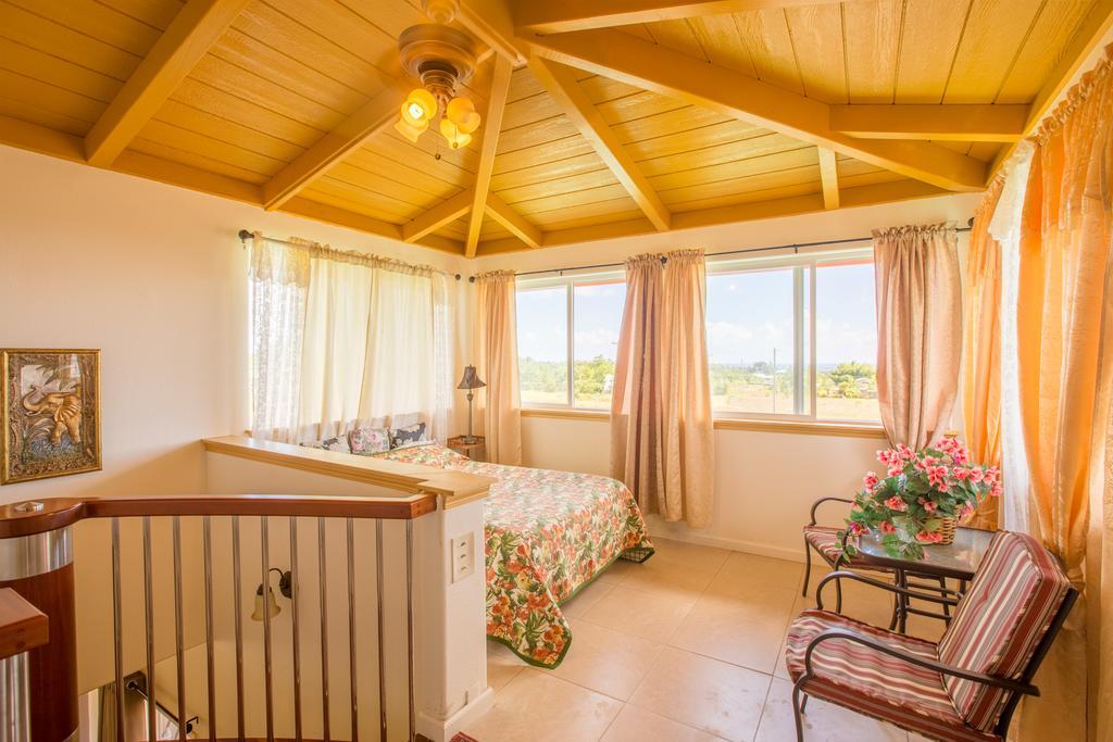 Coconut Palms Vacation Rental Near Lava Fields And Beaches Kehena Extérieur photo