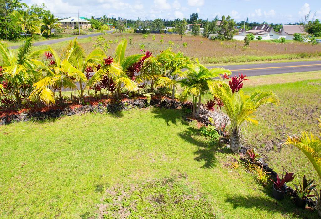 Coconut Palms Vacation Rental Near Lava Fields And Beaches Kehena Extérieur photo