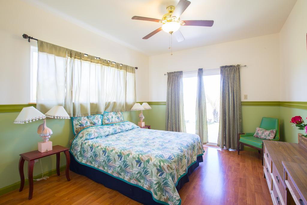 Coconut Palms Vacation Rental Near Lava Fields And Beaches Kehena Extérieur photo