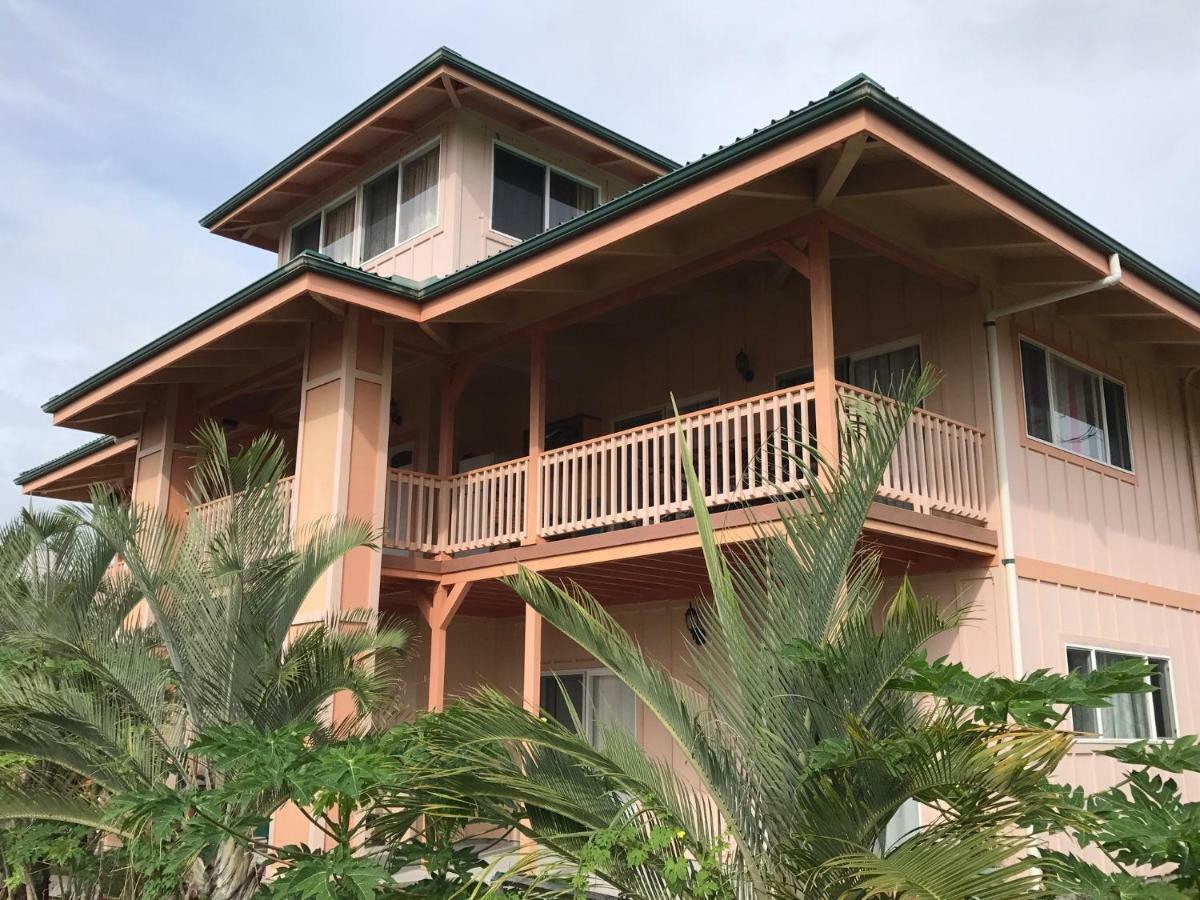 Coconut Palms Vacation Rental Near Lava Fields And Beaches Kehena Extérieur photo
