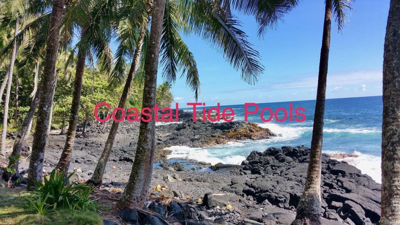 Coconut Palms Vacation Rental Near Lava Fields And Beaches Kehena Extérieur photo