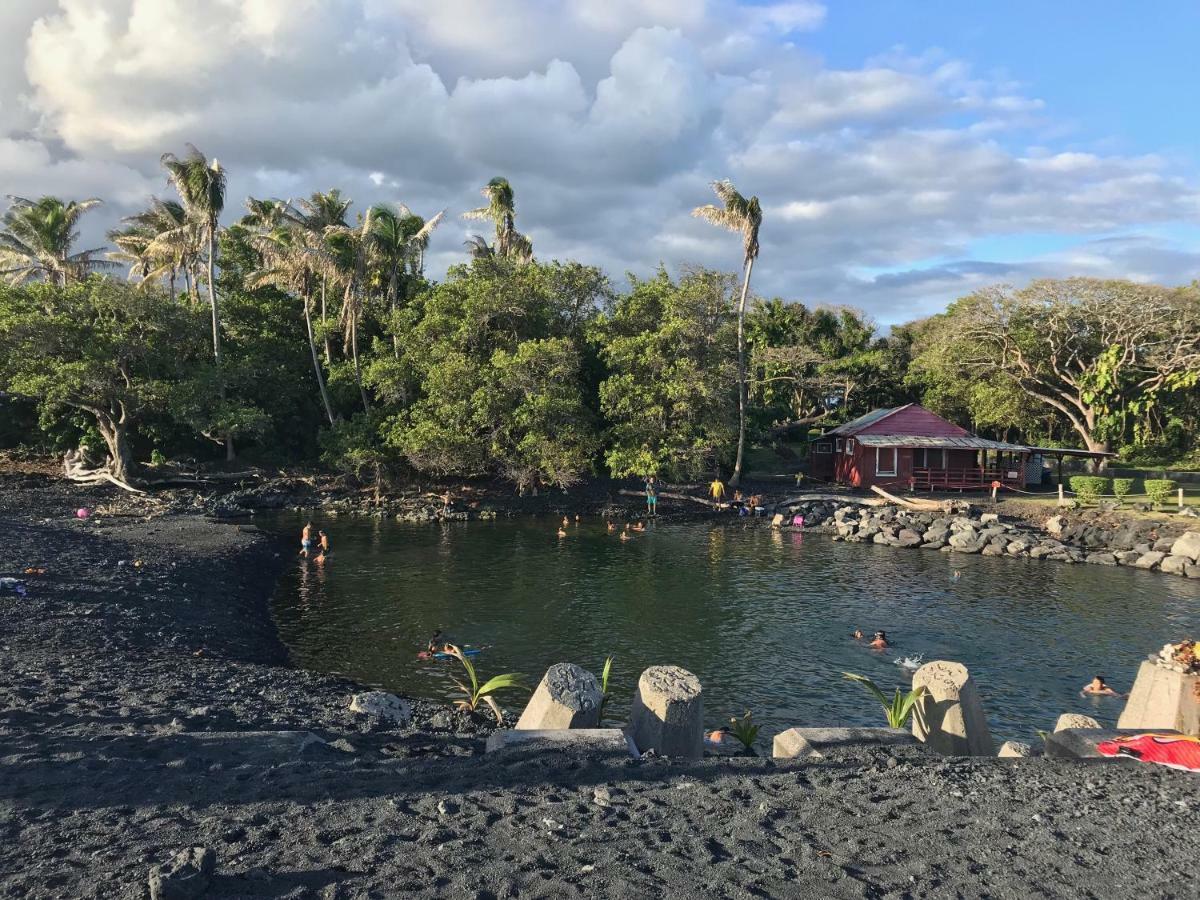 Coconut Palms Vacation Rental Near Lava Fields And Beaches Kehena Extérieur photo